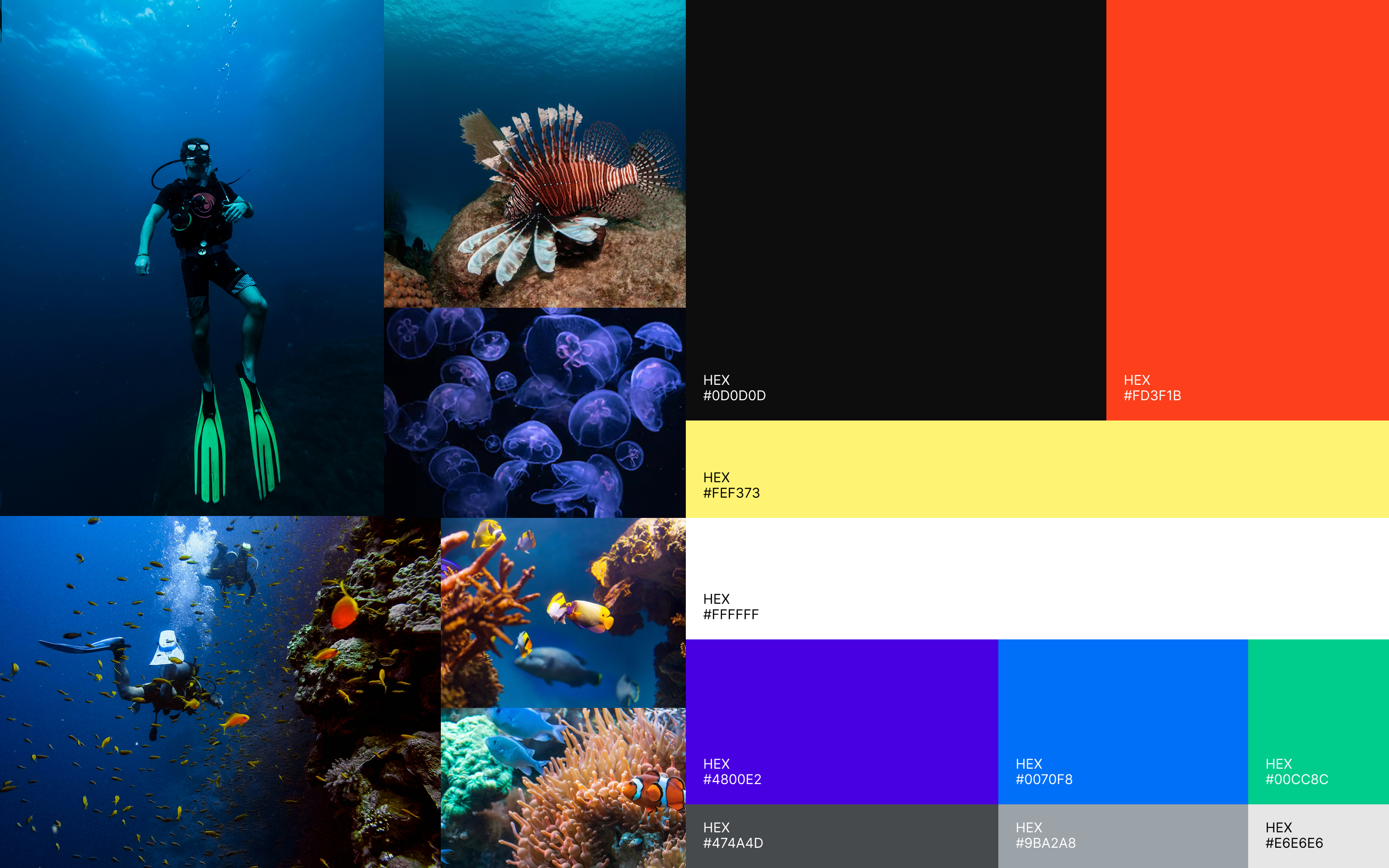 Diveshop color system