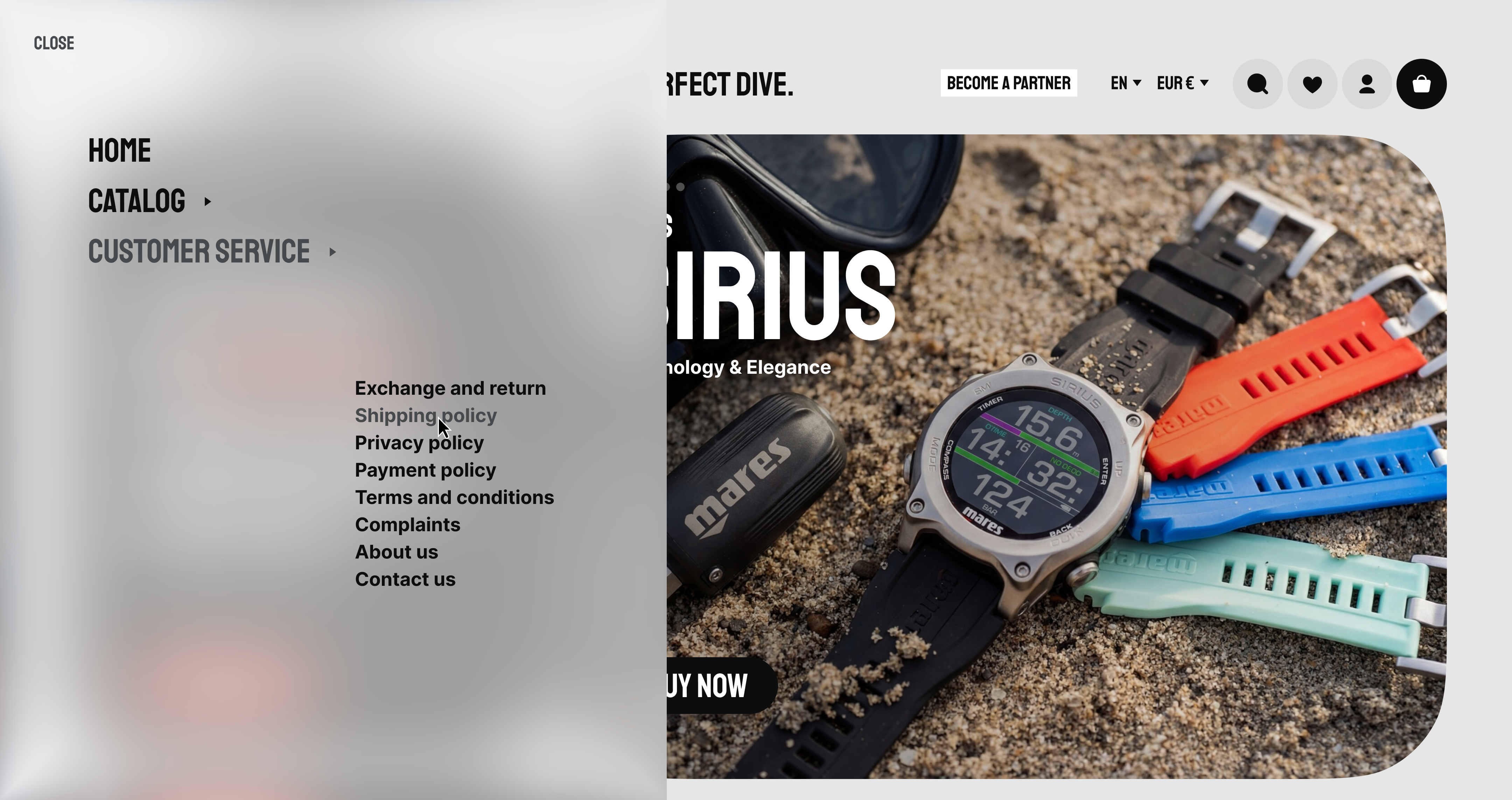 Diveshop site design screen three